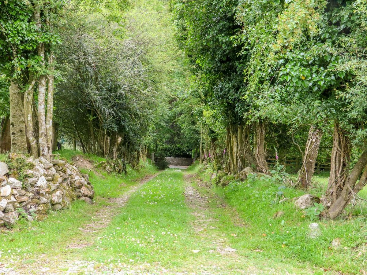 The Old White Cottage Shillelagh ภายนอก รูปภาพ